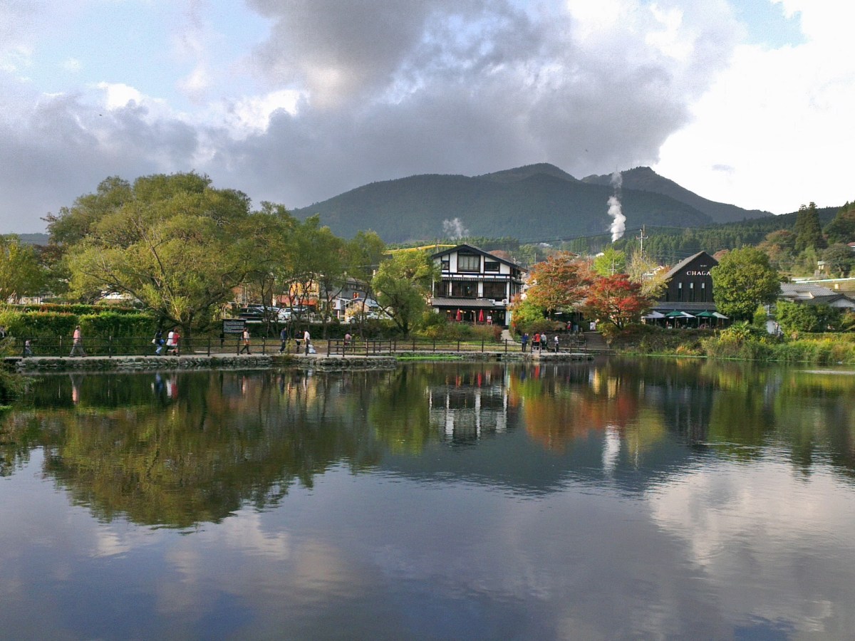 由布院．草庵秋桜